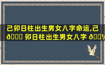 己卯日柱出生男女八字命运,己 🐎 卯日柱出生男女八字 🐼 命运命理师念鲜